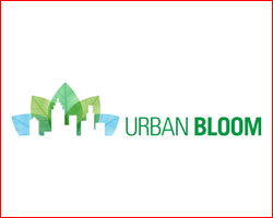 Urban Bloom