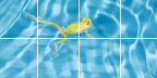 Reflexions Data