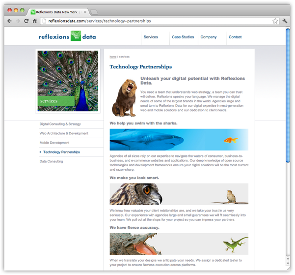 Reflexions Data Landing Page